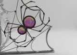 Dichro Spider Web Plant Propagation Stand