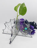 Dichro Spider Web Plant Propagation Stand