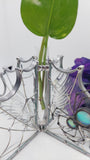 Dichro Spider Web Plant Propagation Stand